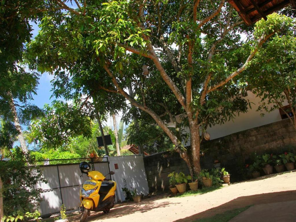 Celine'S Home Mirissa Exteriér fotografie
